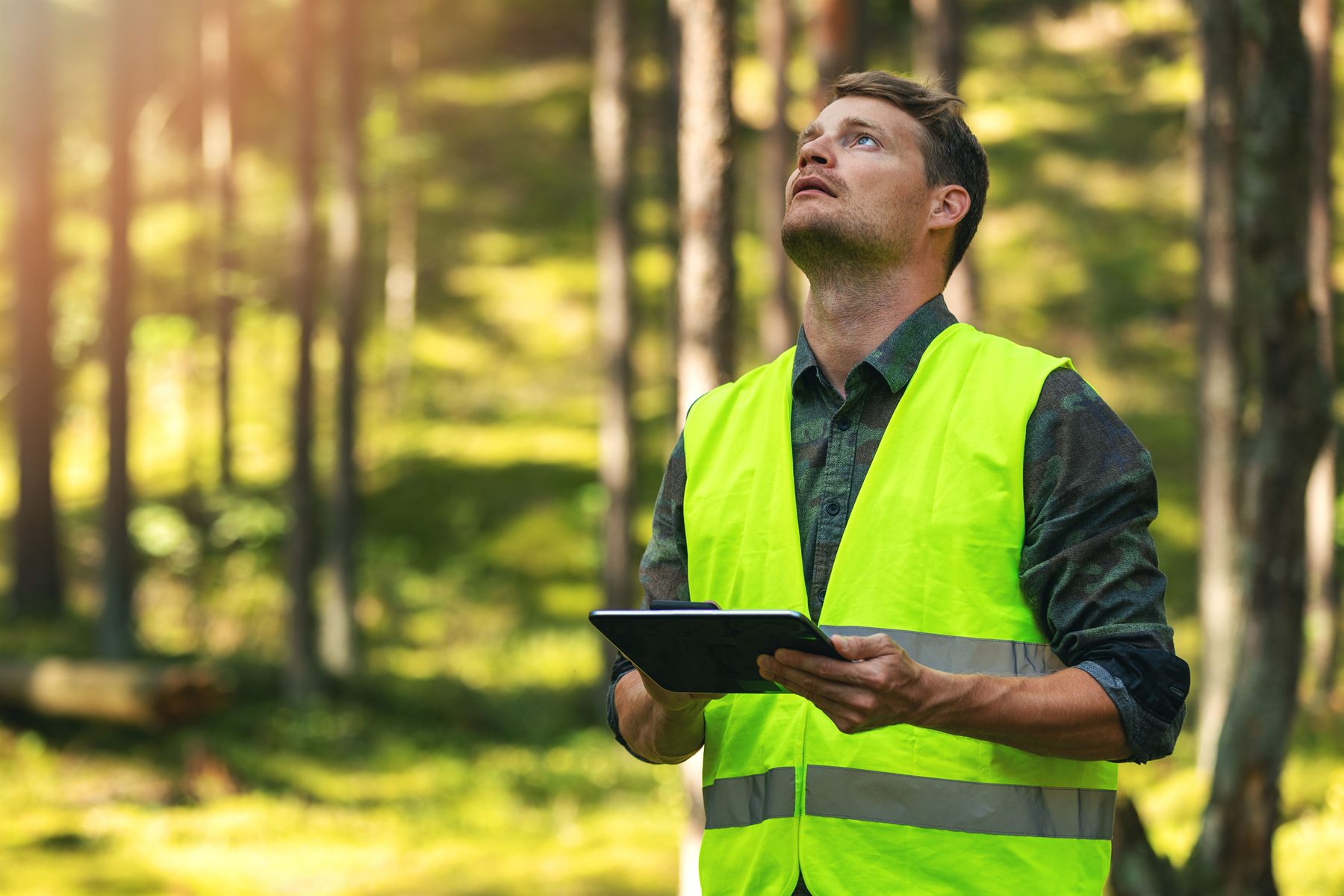 Technicien inspectant un arbre avec une tablette
