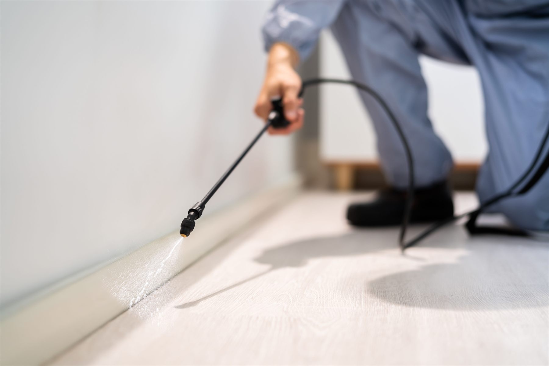 Technicien pulvérisant un traitement sur un sol intérieur