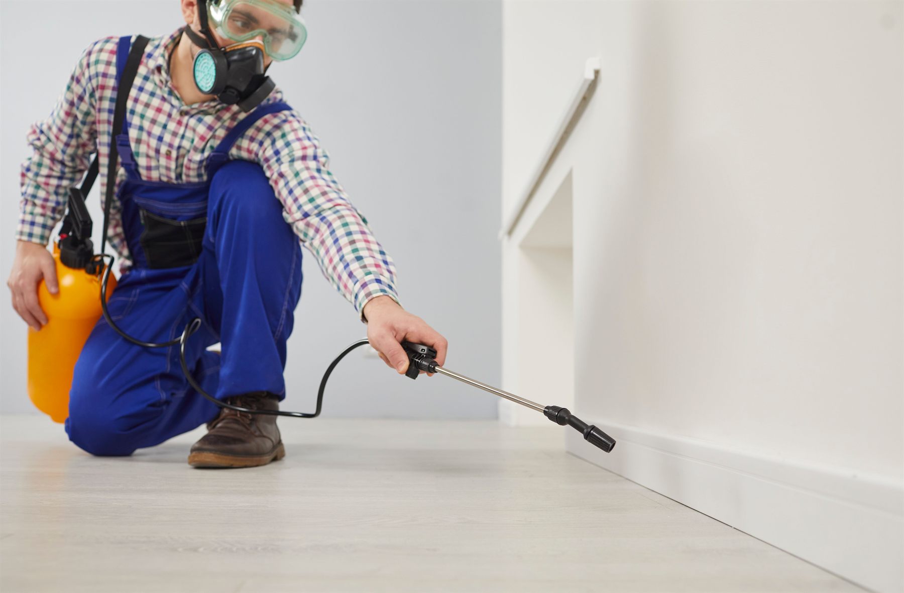Technicien pulvérisant un traitement le long d'une plinthe